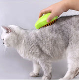 Cat Steam Brush 3 in 1 Electric Spray