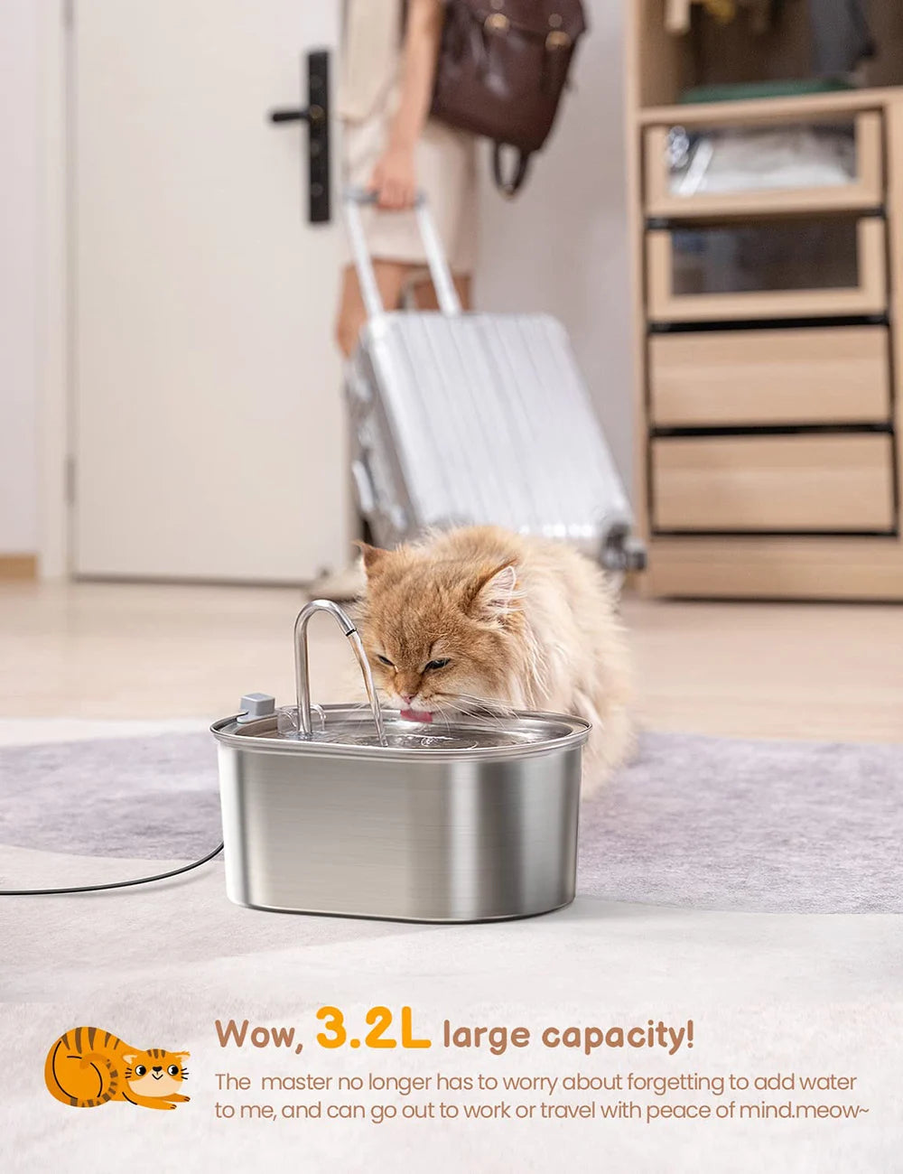 Cat Water Dispenser Stainless Steel