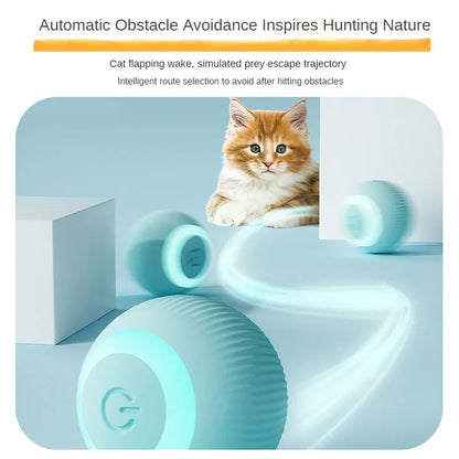 Interactive Electric Rechargeable Rolling Cat Toy