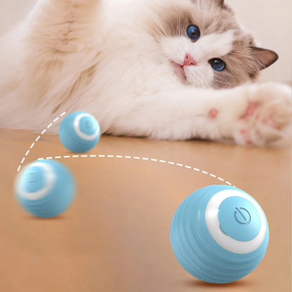 Interactive Electric Rechargeable Rolling Cat Toy